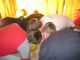 Bild 176